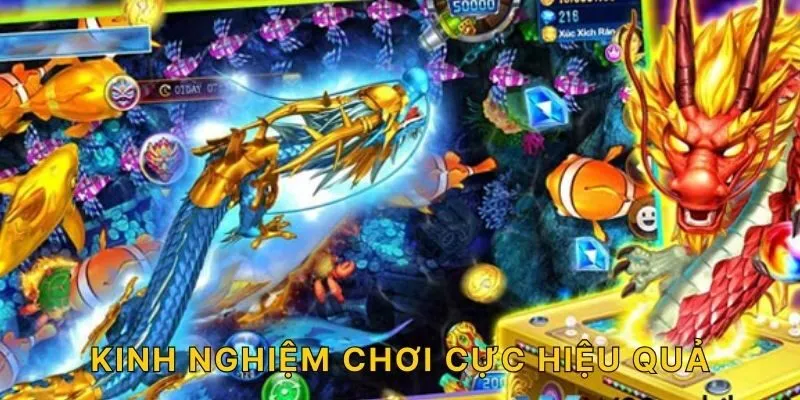 Kinh nghiệm chơi cực hiệu quả!